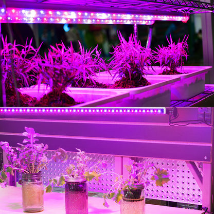 1/2/3/4 LED Grow Light Strips for Indoor Plants Red Blue Full Spectrum USB Phyto Lamp Timer Dimmable Seedlings Flower Lamp Bar