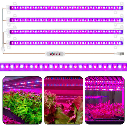 1/2/3/4 LED Grow Light Strips for Indoor Plants Red Blue Full Spectrum USB Phyto Lamp Timer Dimmable Seedlings Flower Lamp Bar