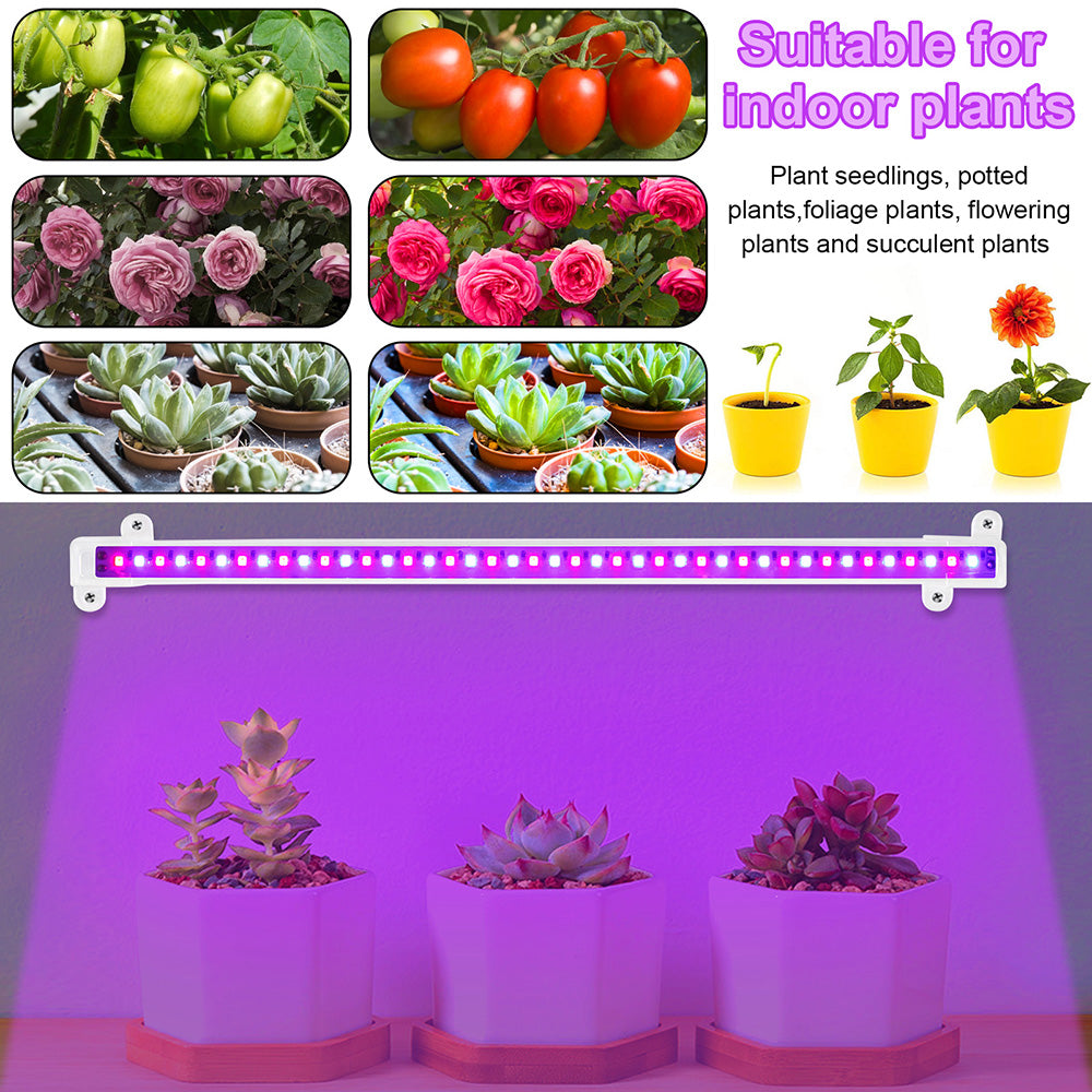 1/2/3/4 LED Grow Light Strips for Indoor Plants Red Blue Full Spectrum USB Phyto Lamp Timer Dimmable Seedlings Flower Lamp Bar