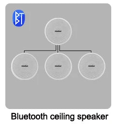 Smart Home Mini Touch Key Audio Bluetooth Wall Amplifier 2*20W Fm Radio Doorbell with Coxial Ceiling Speaker PA System Bathroom