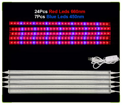 Phytolamp Growth Light  5730 LED Grow Light for phydroponics grow kit Greenhouse Grow Tent vegetable flower seedlings