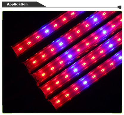 Phytolamp Growth Light  5730 LED Grow Light for phydroponics grow kit Greenhouse Grow Tent vegetable flower seedlings