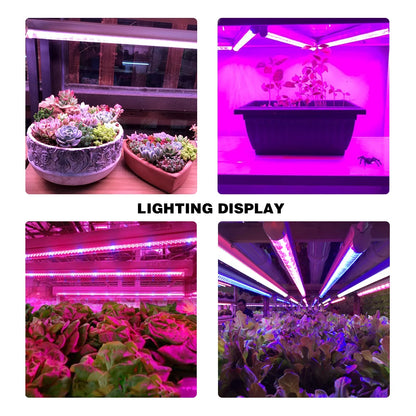 Phytolamp Growth Light  5730 LED Grow Light for phydroponics grow kit Greenhouse Grow Tent vegetable flower seedlings