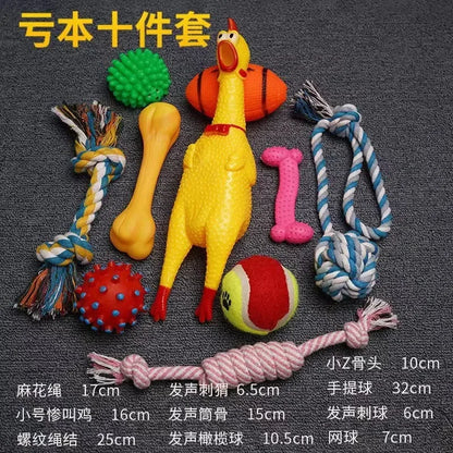 Plush Dog Toy Voice Training Set Puppy Play Kit Canine Essentials2024 New Pet Supplies Squeaky Toys Bark Control Tools