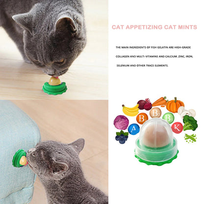 10pcs Catnip Toy Catnip Balls Wall Ball Toys Licking Snacks Healthy Nutrition Ball Teeth Cleaning Catnip Toy Snack Pet Supplies