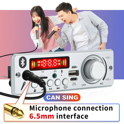 Bluetooth 5.0 MP3 Decoder Board 160W 150W Amplifier Audio Player 12V DIY MP3 Player Car FM Radio Module TF USB Mic Record Call