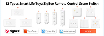 Tuya Smart Life ZigBee 3.0 Curtain Blind Switch for Roller Shutter Electric Motor Google Home Alex MQTTa Echo Voice Control DIY