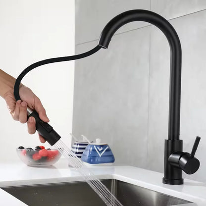 Black Kitchen Faucet Flexible Pull-out 2-mode Nozzle Cold and Hot Mixed Faucet Stainless Steel Faucet