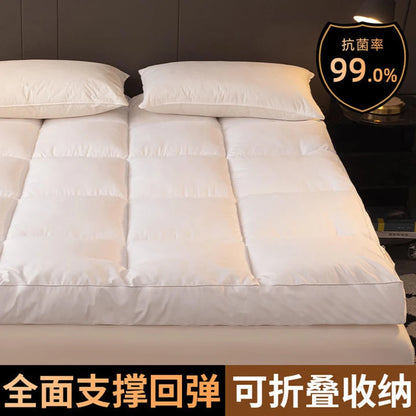 Mattresses for hotels Cushions for home mattresses mattresses are thickened for student dormitories mattresses for rent rooms