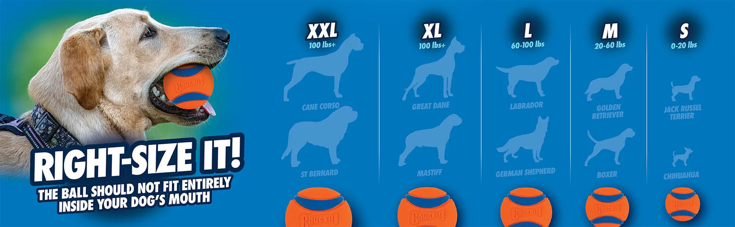 Chuckit! Ultra Ball Dog Toy