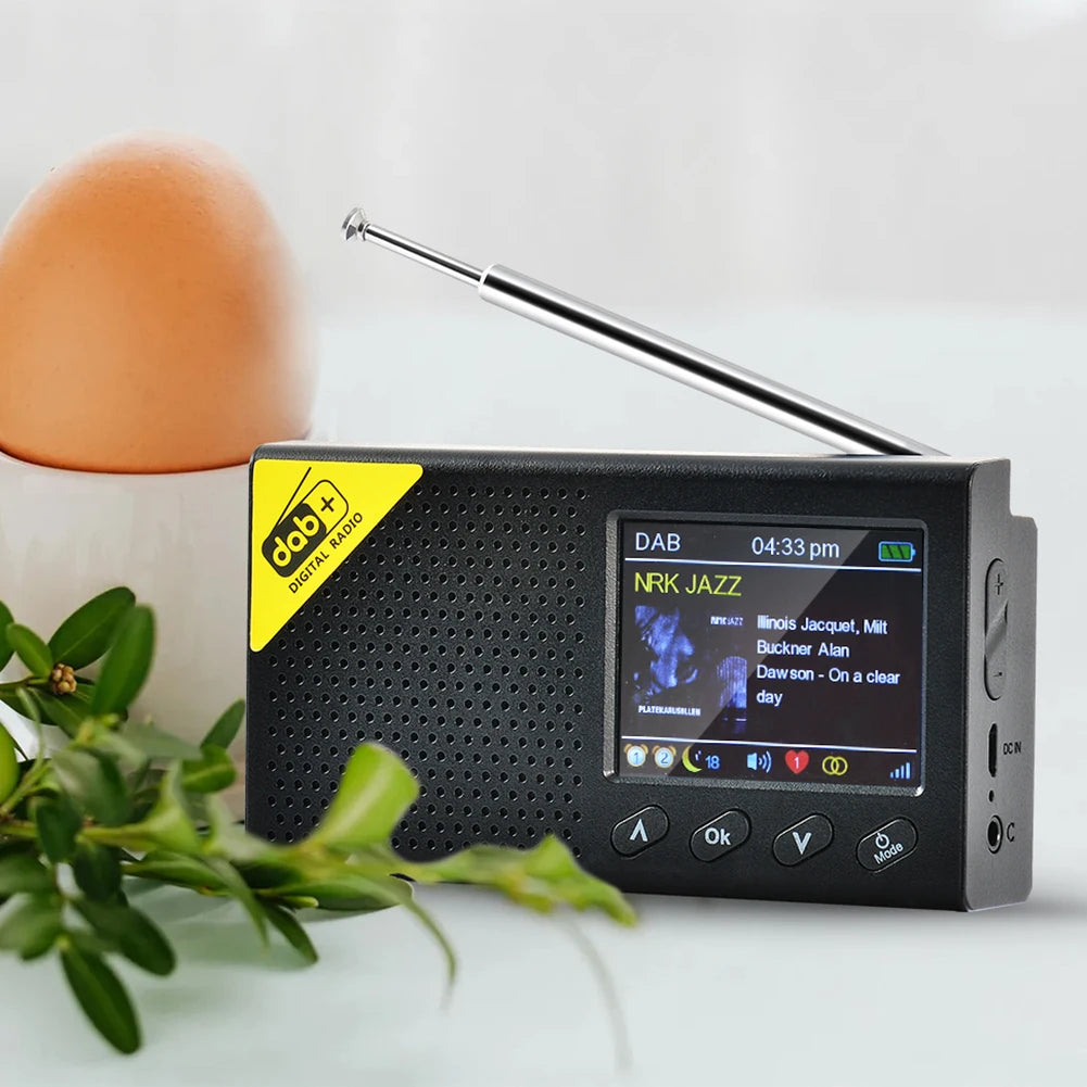 Digital DAB & FM Radio with BT Portable Digital Radio Rechargeable Wireless DAB+FM Receiver with Stereo Speaker Sound System