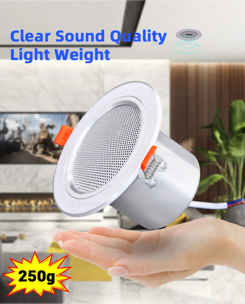 Smart Home Mini Touch Key Audio Bluetooth Wall Amplifier 2*20W Fm Radio Doorbell with Coxial Ceiling Speaker PA System Bathroom