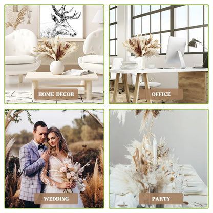 120Pcs Dried Pampas Grass Decor Flowers for Vase Pompas Grass Wedding Boho Decor,Natural Pampas Bouquet Garden Home Decoration