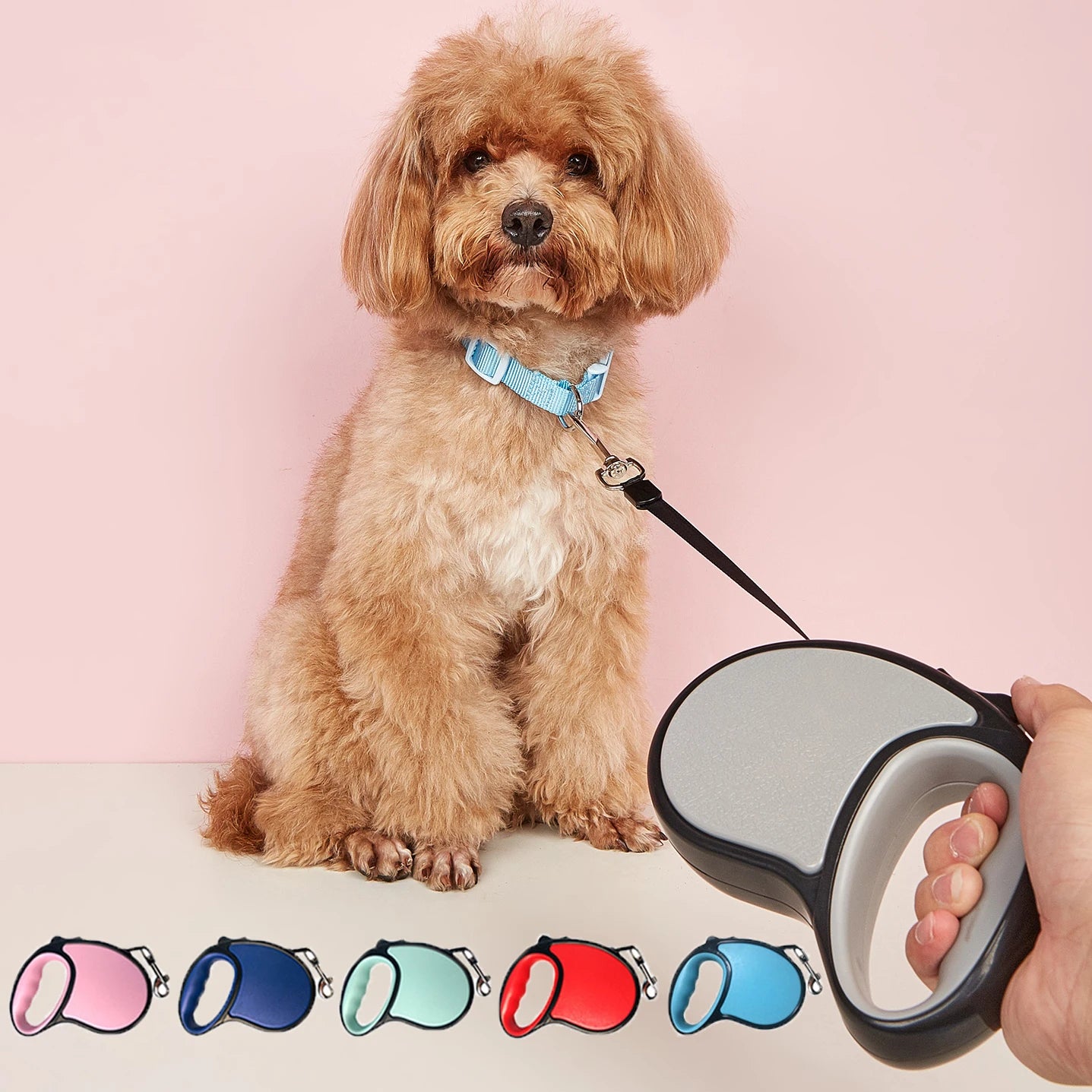 3m 5m Nylon Small Dog Leash Candy Color Puppy Retractable Automatic Extending Travel Walking Running Rope Pet Cat Accessorie