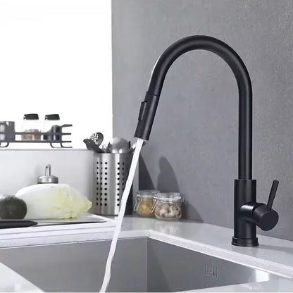 Black Kitchen Faucet Flexible Pull-out 2-mode Nozzle Cold and Hot Mixed Faucet Stainless Steel Faucet