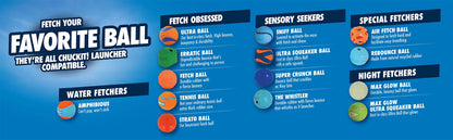 Chuckit! Ultra Ball Dog Toy