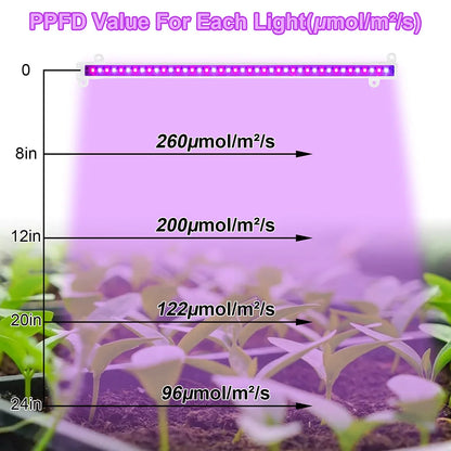 1/2/3/4 LED Grow Light Strips for Indoor Plants Red Blue Full Spectrum USB Phyto Lamp Timer Dimmable Seedlings Flower Lamp Bar