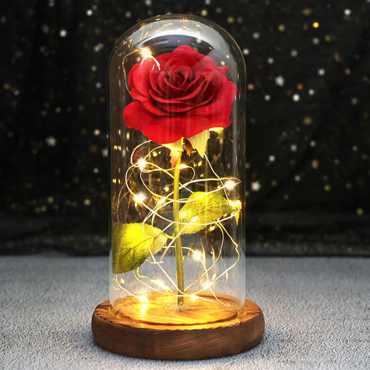 Wedding LED Enchanted Galaxy Rose With Lights In Dome Beauty and the Beast Rose For Christmas Valentines Day Gift Mother's Day