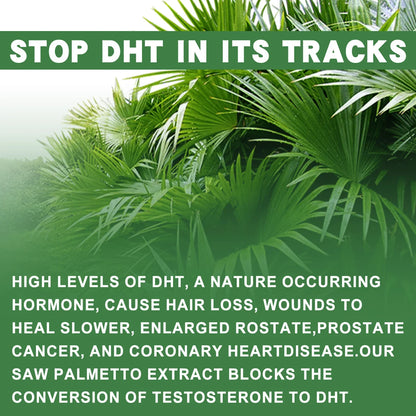 Saw Palmetto - Prostate Support, Prevents Hair Loss, Urinary Tract Health, Promotes Hair Growth