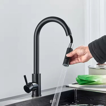 Black Kitchen Faucet Flexible Pull-out 2-mode Nozzle Cold and Hot Mixed Faucet Stainless Steel Faucet